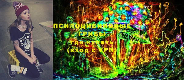 первитин Няндома