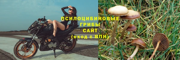 jwh Арсеньев