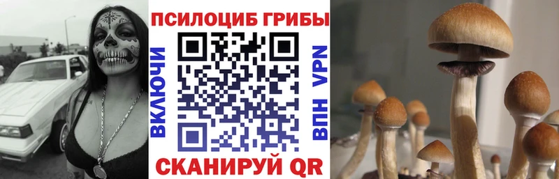 что такое Темрюк Галлюциногенные грибы ЛСД